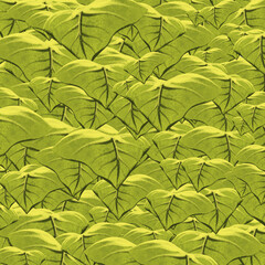 pattern with leaves Abstract green  Color Skeleton Leaf for background and texture 