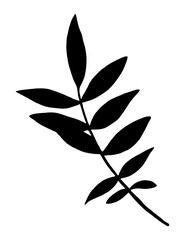 Hand Drawn Flower Silhouette. Black Floral Illustration. Plant Silhouette Isolated on White Background.