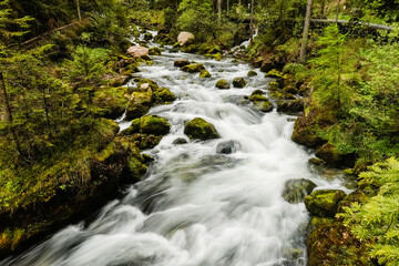 rushing water from a torrent with large rocks through a green forest