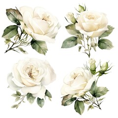 Watercolor floral bouquet illustration set - white flower green leaf leaves branches bouquets collection.