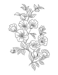 Floral coloring page, flower line art illustration