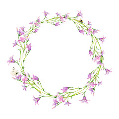 Fototapeta na wymiar Field bells round frame with bee and butterfly hand-painted. Watercolor illustration of delicate flowers on white background. Meadow wildflowers for textile, photoframe, logo, cards. Floral