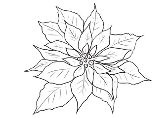 シンプルな線で描かれたポインセチアのイラスト