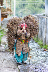 Gangaad a remote village in Himalayas, Uttarakhand, India