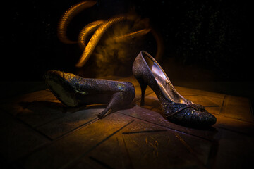 Artwork decoration. Silhouette of a high heel women shoes at dark. Women power or women domination concept.