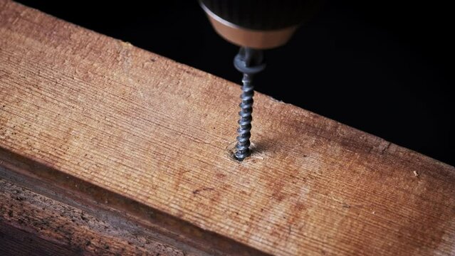 The screw is screwed into the wood board with a screwdriver, extreme macro. Copy space. Process of tightening the screw with a power drill. Close-up of carving screw being screwed into a seat on wood