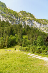 Sommerzeit im Salzkammergut in Österreich