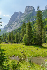 Sommerzeit im Salzkammergut in Österreich