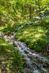 Sommerzeit im Salzkammergut in Österreich