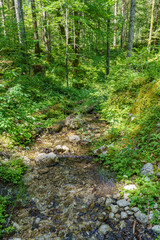 Sommerzeit im Salzkammergut in Österreich