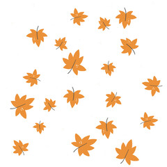 Autumn Leaves Isolated on White background, Cut out