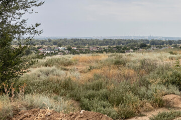 A meadow in a steppe landscape. Plateau in the Volgograd region