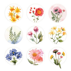 Set of circle shapes, Clip art flowers only in circle, watercolor, clipart flower style