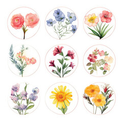 Set of circle shapes, Clip art flowers only in circle, watercolor, clipart flower style