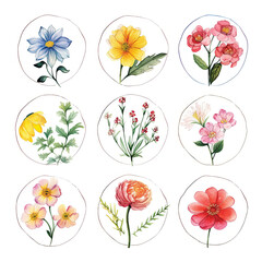 Set of circle shapes, Clip art flowers only in circle, watercolor, clipart flower style