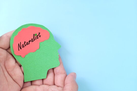 Naturalist intelligence in psychology concept. Hand holding human head profile with word text on brain.	