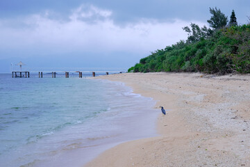 Calm sandy beach and pier in the morning