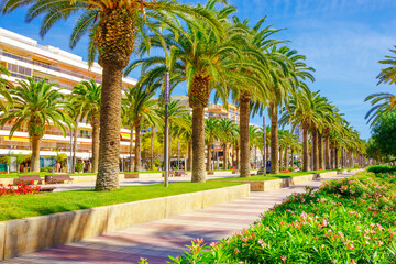 Fototapeta na wymiar Promenade view with palm trees in Salou, Catalonia, Spain, Europe
