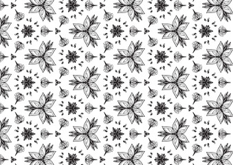 Pattern Floral and Geometric Elements. Seamless Floral Ethnic Pattern. Arabic Indian Motifs Abstract Floral Ornament Thin Line. Vector Wallpaper Background Fabric Paper  Black and White Graphic Design