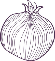 pomegranate line simple minimal art. Rosh Hashanah design icon with hand drawn pomegranate