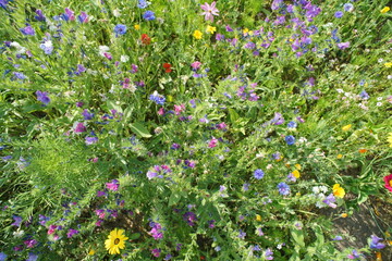 Osterzeit und Sommer mit Blumen