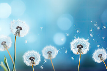 Floating Wishes: The Art of Dandelion Seed Dispersal
