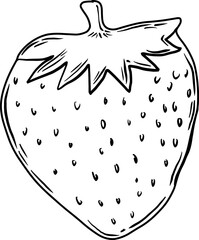 sketch strawberry