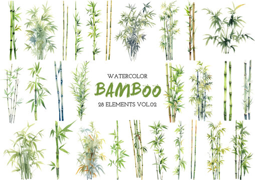 Realistic Bamboo Stick Brown And Green Tree Branch And Stems With Leaves  Isolated Decorative Closeup Elements East Forest Trees Exotic Botanical  Decor Eco Material Vector 3d Set Stock Illustration - Download Image