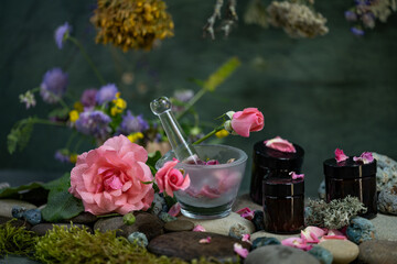 dermatology, young, cream, rejuvenation, dermatologist, cosmetology, delicate, blooming, bunch, holiday, gift, medical, aromatic, flower arrangement, postcard, aromatherapy, medicinal, health care, or