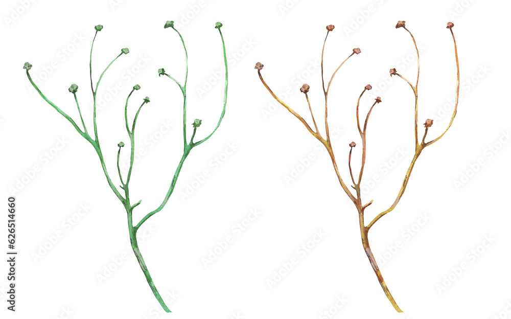 Sticker green plant twig painted in watercolor, isolated