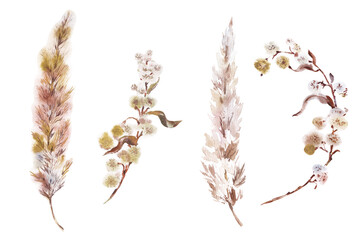 Fluffy dry spikelet painted in watercolor - obrazy, fototapety, plakaty
