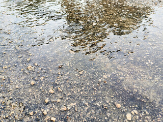 The reflect of a rain drop on the street in front my house