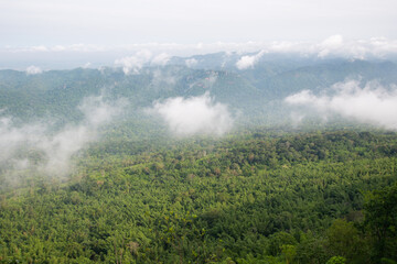 Beautiful large top view of forest and mountain with cloud area under morning sun light