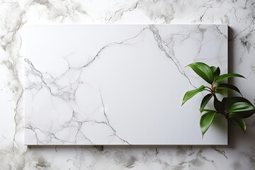 a white marble background with green leaves. marble frame border