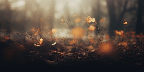 Nature dark fall. Stunning landscape. Abstract beauty of autumn season in the forest. Defocused blurred background