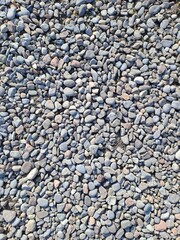 Group of small stones on the ground background with copy space.