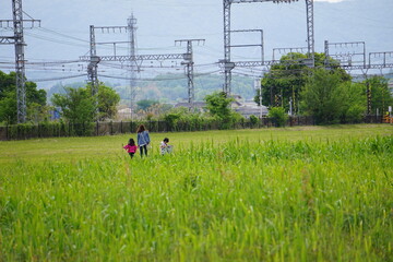 荻の雑草が生えた道を歩く親子、ほのぼのとした懐かしい風景