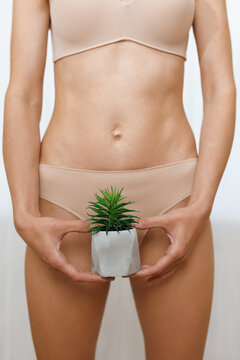 Close-up of woman holding a cactus on a background of panties. Depilation of a bikini zone. Hair removal, joke, laser epilation, fun