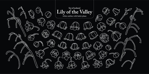 Cute hand drawn isolated white outline with balck plane of lily of the valley.