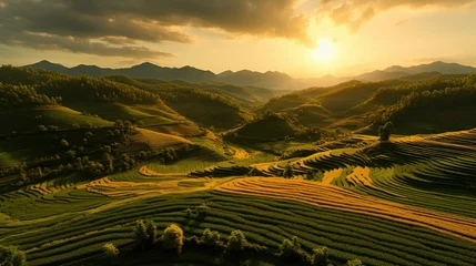 Abwaschbare Fototapete Reisfelder Rice Terrace, Generative AI