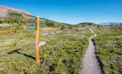 Hiking trail with directional sign post at Sunshine Meadows on the Continental Divide between...