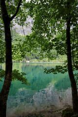 leopoldsteinersee, Austria. The Leopoldsteinersee is a mountain lake in Styria, in the east of Austria