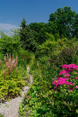 Path in the park among dense green vegetation and flowers. Garden with many plants, flowers and a path.