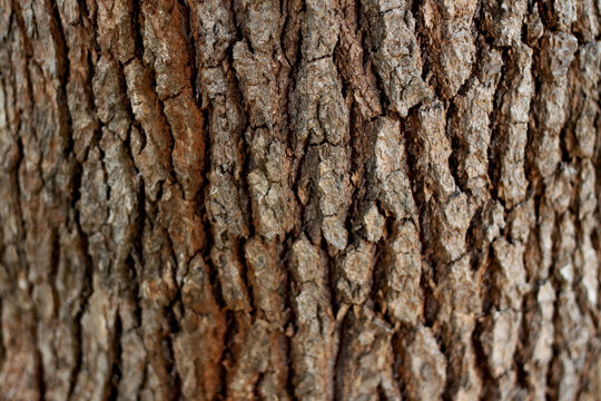 Close-up view of old natural wood truck for background