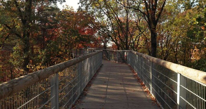 Tree top canopy walk with autumn colors