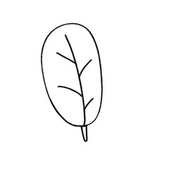 leaf