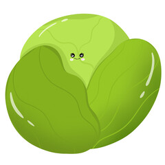 Fruit and vagetables