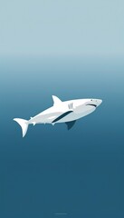 Shark Wallpaper