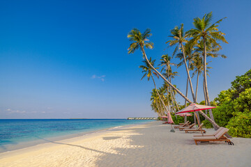 Tropical beach nature as summer landscape with lounge chairs beds. Sunny sky idyllic palm trees, calm sea waves. Luxury travel landscape, beautiful destination for vacation or holiday. Beach coast