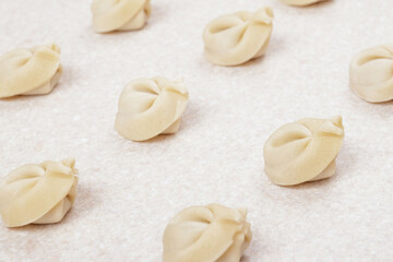 Fototapeta na wymiar Uncooked dumplings on white table closeup. Homemade dumplings.